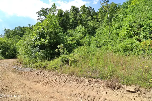 Robbins, TN 37852,LOT 9, Mt View Rd