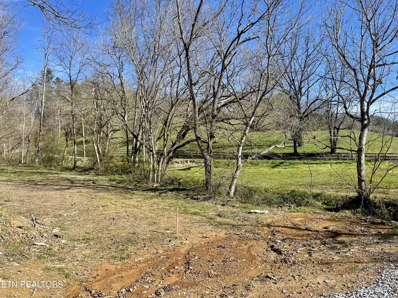 Lot 3R-5 Pleasant Valley Rd, Cosby, TN 37722