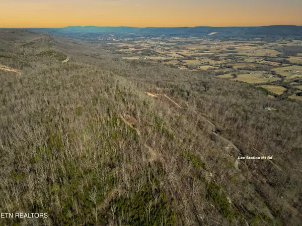 Pikeville, TN 37367,Bench Rd. Little Mountain 16.11 Acres