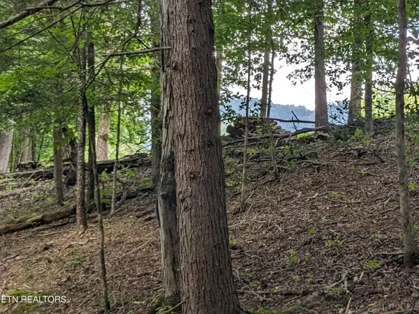 Townsend, TN 37882,745/749 Hunters Run Rd