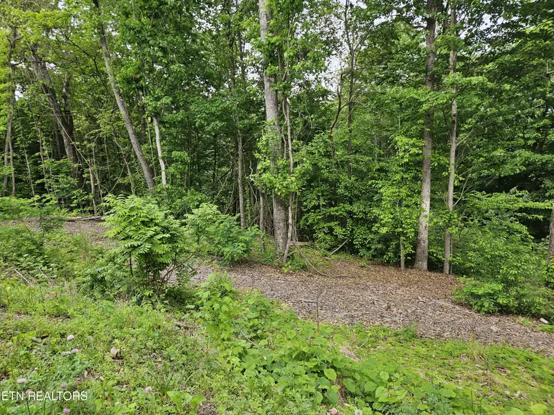 Whitman Hollow Rd, Lafollette, TN 37766