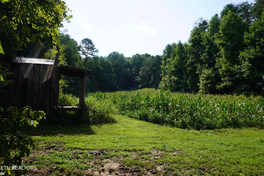 Lot 17 Pleasant View Cemetery Road, New Market, TN 37820