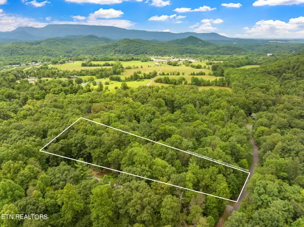 Rocky Ridge Rd, Cosby, TN 37722