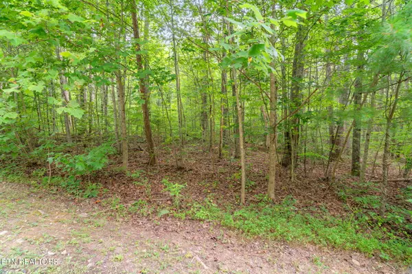 Cosby, TN 37722,Rocky Ridge Rd