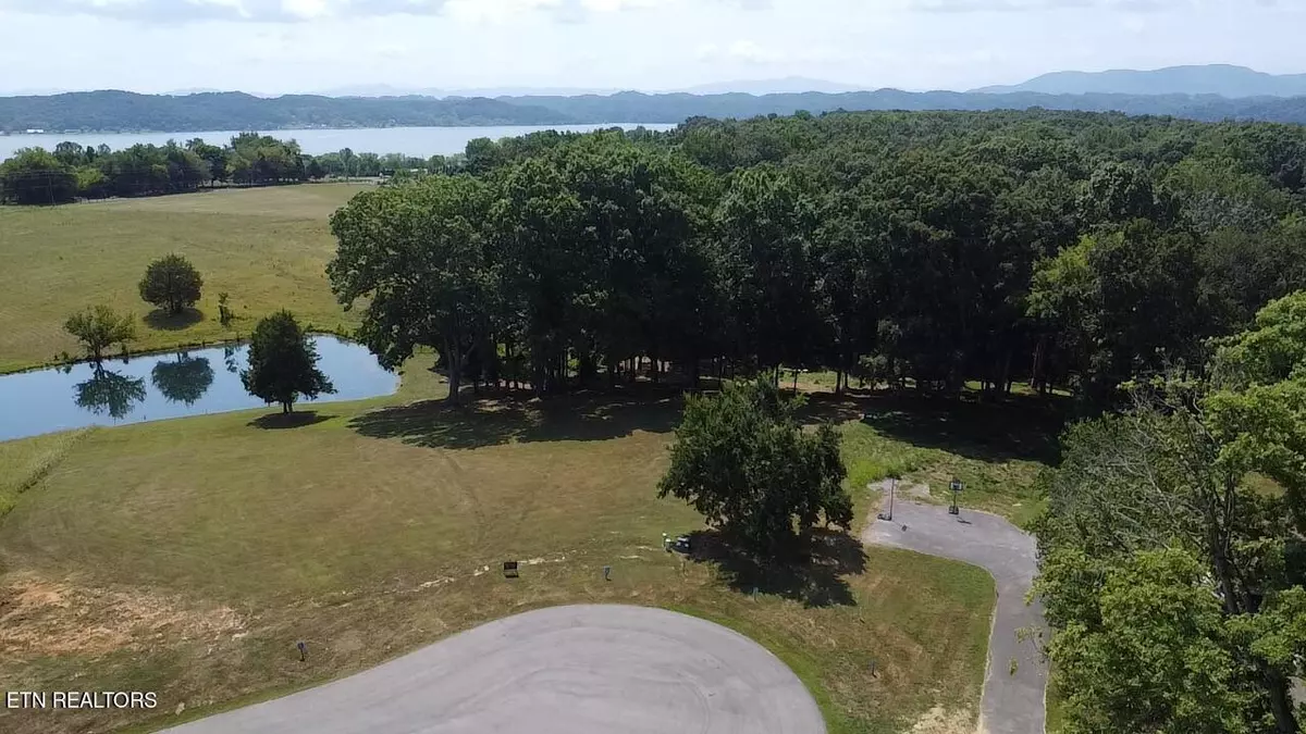 White Pine, TN 37890,lot 6&7 Ancient Oaks CT