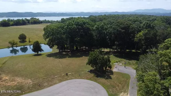 lot 6&7 Ancient Oaks CT, White Pine, TN 37890