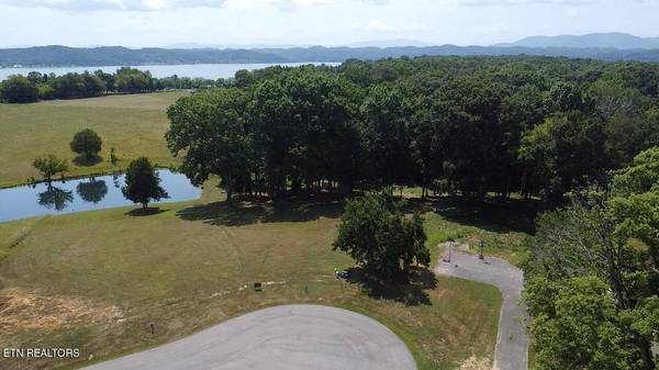 lot 6&7 Ancient Oaks CT, White Pine, TN 37890