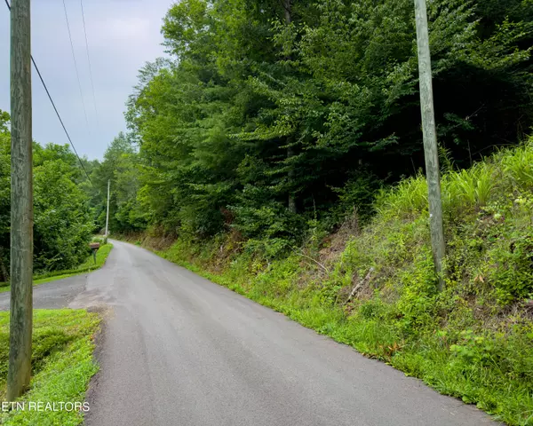 Sevierville, TN 37876,Lot 2A N Ball Hollow Rd