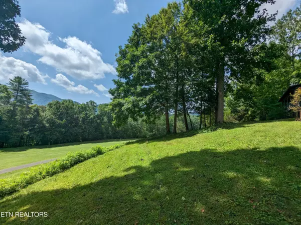 738 Hunters Run Rd, Townsend, TN 37882