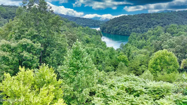 Lot 3 Chapman LN, Jacksboro, TN 37757