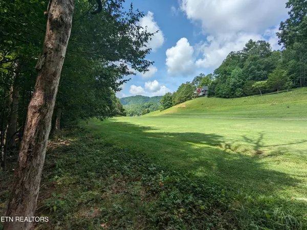 746 Hunters Run Rd, Townsend, TN 37882