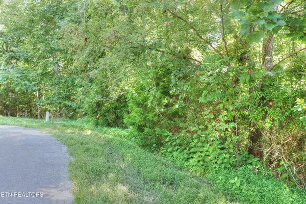 New Tazewell, TN 37825,Lot 432 Beryl CT