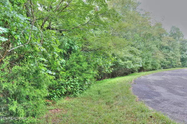 New Tazewell, TN 37825,Lot 432 Beryl CT