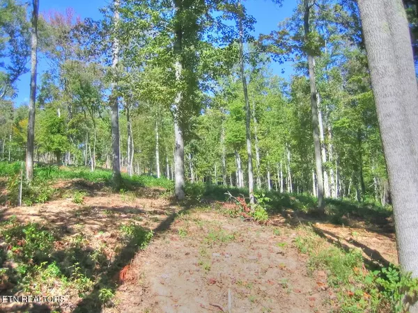 New Tazewell, TN 37825,Lot 432 Beryl CT