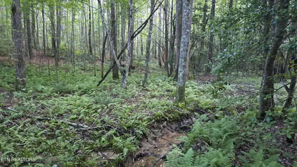 Rockwood, TN 37854,Airport Rd - Lot 4 (PCA)