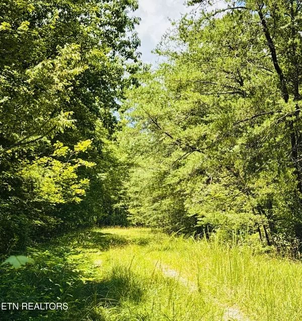 Crossville, TN 38558,117 Greenwell Rd