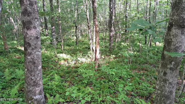 Rockwood, TN 37854,Airport Rd - Lot 5 (PCA)