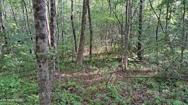 Rockwood, TN 37854,Airport Rd - Lot 5 (PCA)