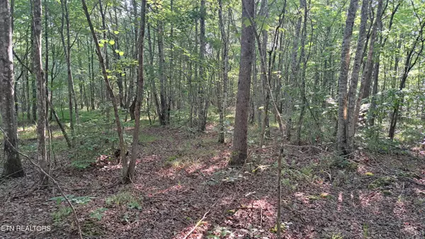 Rockwood, TN 37854,Airport Rd - Lot 7 (PCA)