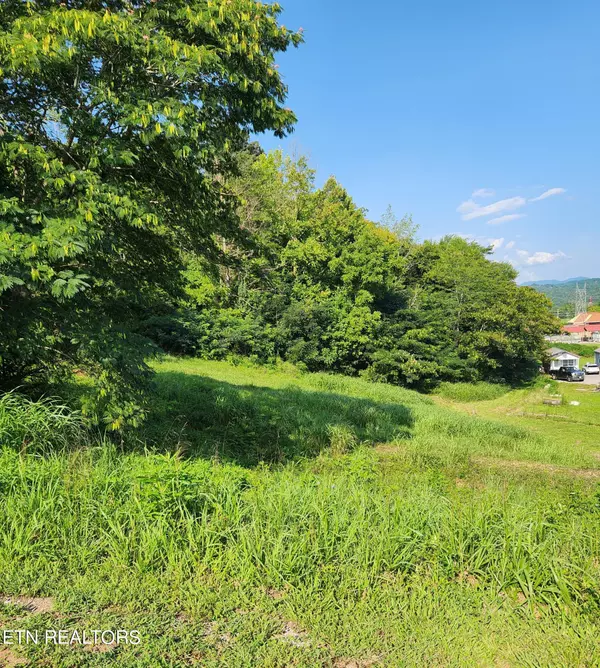 280 Bear Lane, Tellico Plains, TN 37385