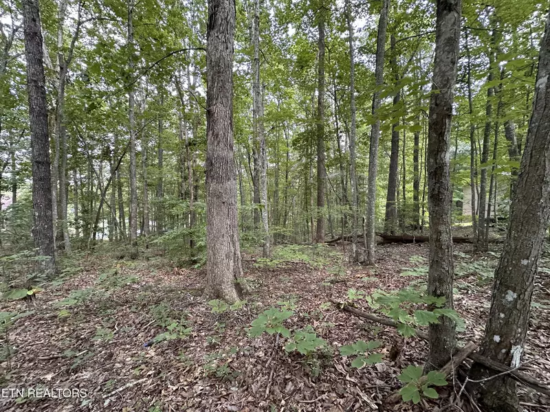 Lot 119 Huckleberry DR, Jamestown, TN 38556