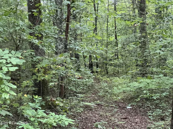 Oneida, TN 37841,LOT 4, Elk Creek Tr