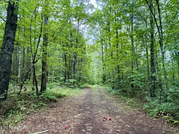 Oneida, TN 37841,LOT 4, Elk Creek Tr