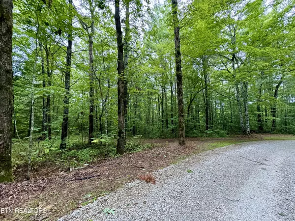 Oneida, TN 37841,LOT 4, Elk Creek Tr