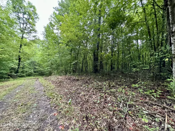 Oneida, TN 37841,LOT 5, Elk Creek Tr