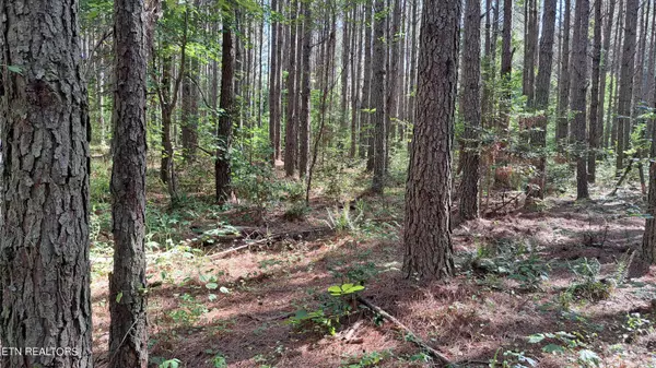 Airport Rd - Lot 12 (PCA),  Rockwood,  TN 37854