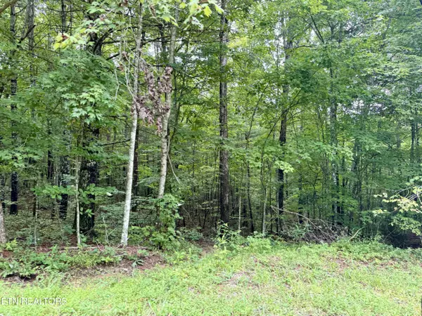 Oneida, TN 37841,LOT 24, Elk Creek Tr