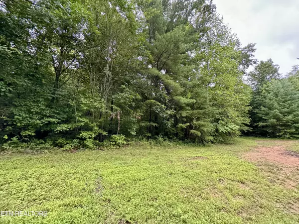 Oneida, TN 37841,LOT 24, Elk Creek Tr