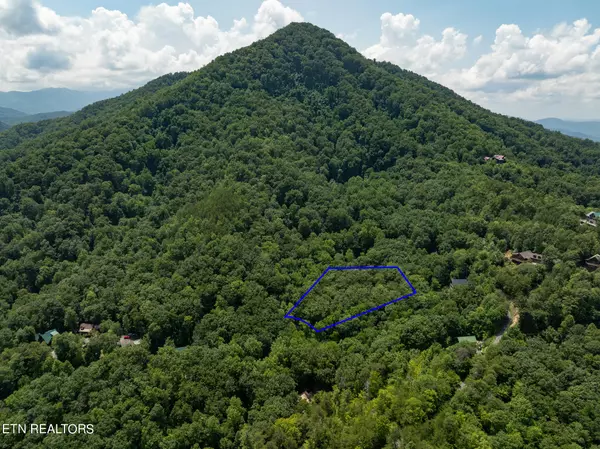 Sevierville, TN 37862,Brooke Hollow LN