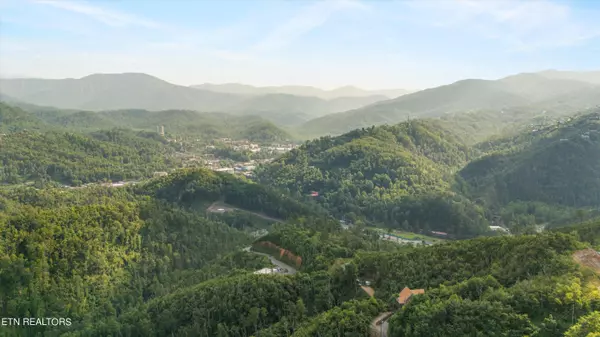 Gatlinburg, TN 37738,647 Kristis PL