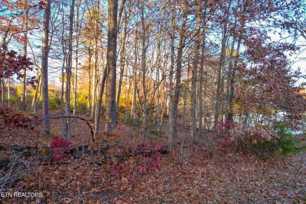 Crossville, TN 38571,Lot 36 Deer Creek DR