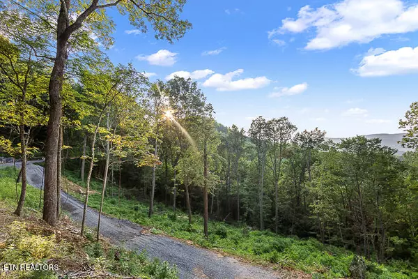 Sevierville, TN 37862,Overholt Trail Tr