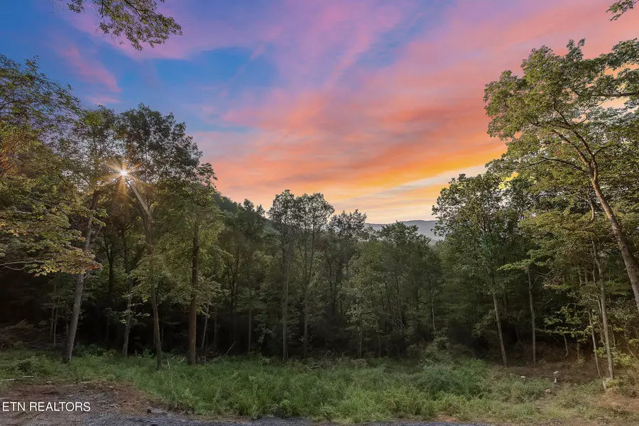 Overholt Trail Tr, Sevierville, TN 37862