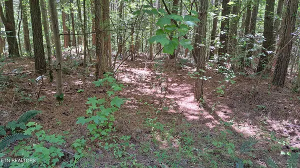 Rockwood, TN 37854,Airport RD - Lot 26 (PCA)