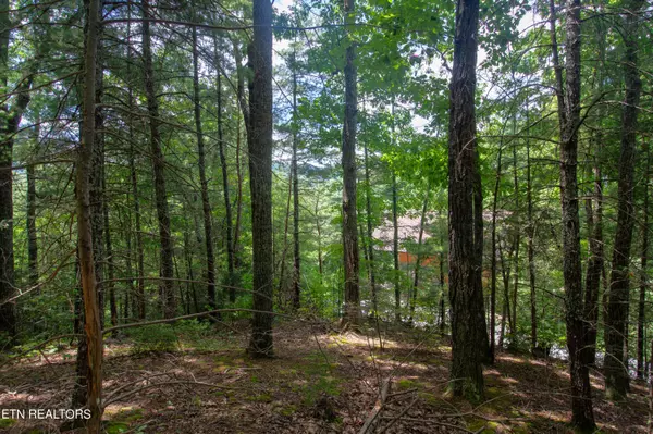 Sevierville, TN 37862,Lot 0013 HighTop Loop