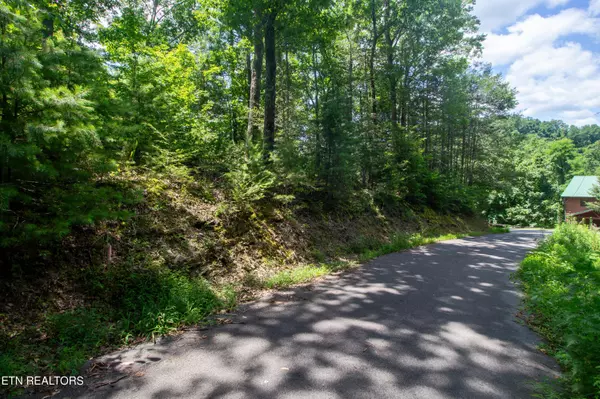 Sevierville, TN 37862,Lot 0013 HighTop Loop