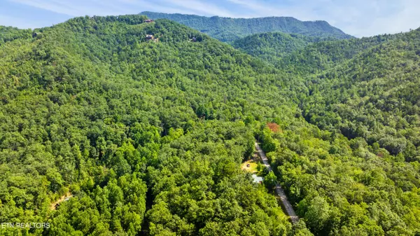 Sevierville, TN 37876,Lot 53 Yellowwood DR