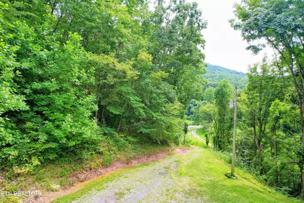 Parrottsville, TN 37843,819 Ginseng WAY