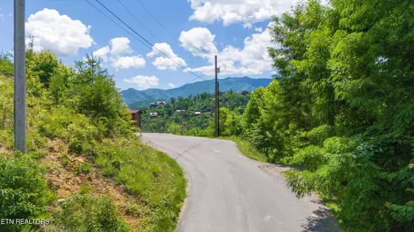 Gatlinburg, TN 37738,550 Greenbriar LN