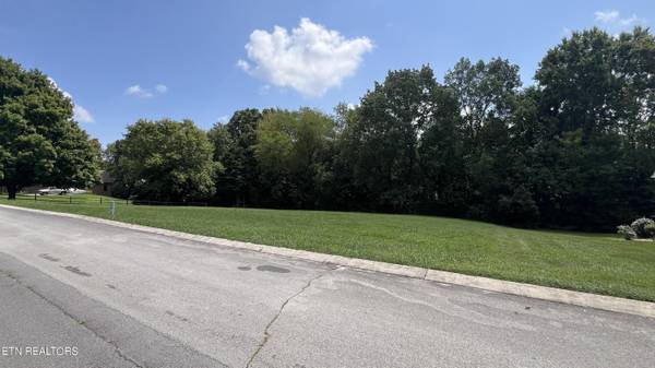 Panoscenic South DR, Maryville, TN 37803