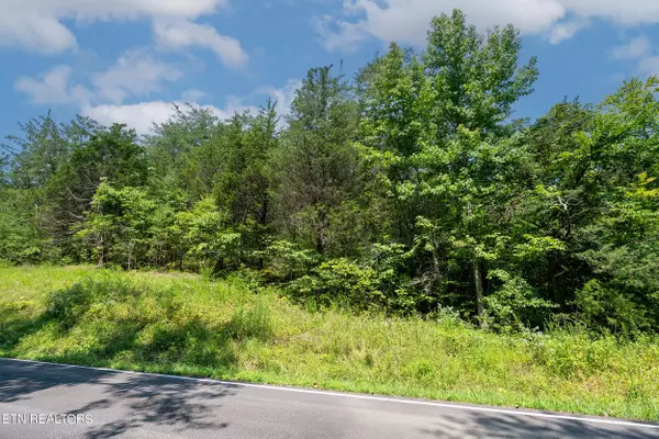 Sevierville, TN 37876,Lot 12 Windfall Estates DR