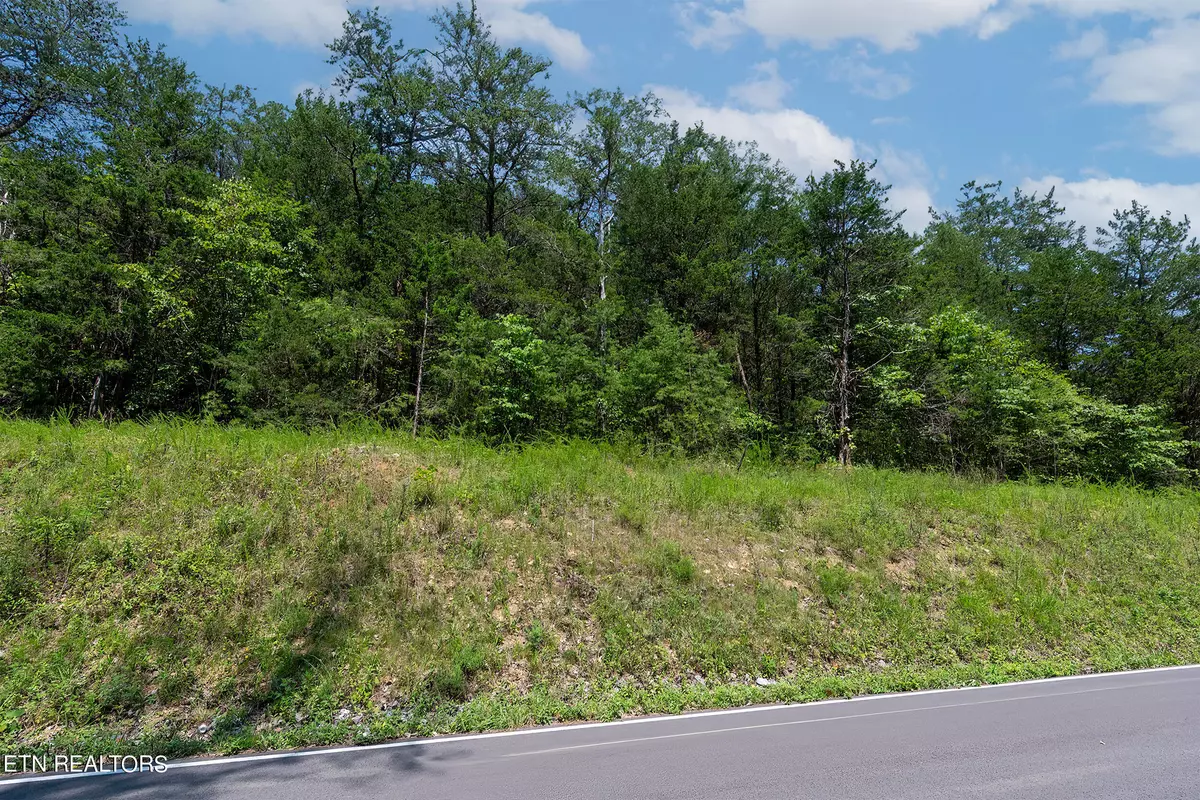 Sevierville, TN 37876,Lot 12 Windfall Estates DR