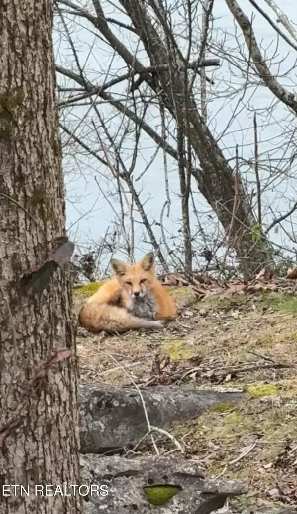 Blaine, TN 37709,474 River Stone DR