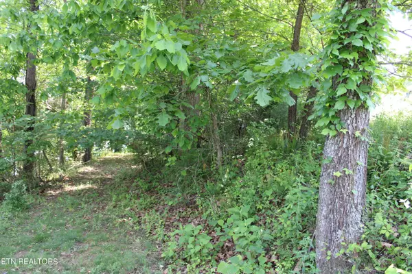 Speedwell, TN 37870,00 Blue Ridge Rd