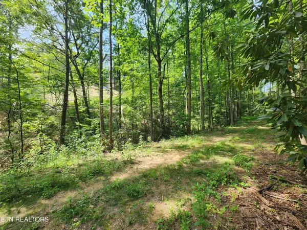 Sevierville, TN 37876,Lot 30 Birch Dr