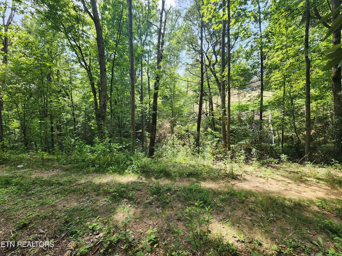 Sevierville, TN 37876,Lot 30 Birch Dr